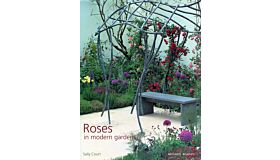 Roses in Modern Gardens