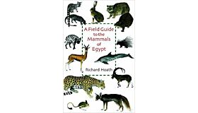 A Field Guide to the Mammals of Egypt (hardcover)