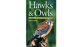 Hawks & Owls of the great lakes region & Eastern North America