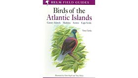 Helm Field Guides - Birds of the Atlantic Islands