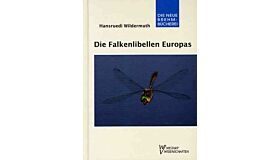 Die Falkenlibellen Europas