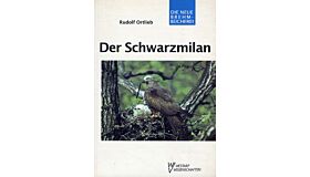 Der Schwarzmilan (milvus migrans)