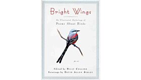 Bright wings