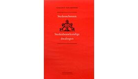 Stedenschennis - Stedenbouwkundige dwalingen