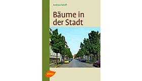 Bäume in der Stadt