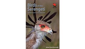 Birds of the Serengeti and Ngorongoro Conservation Area