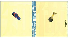 Designs You Don't Know What To Do With: A Book about Design and its Alternatives