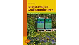 Natürlich imkern in Grossraumbeuten