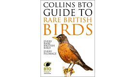 Collins BTO Guide to Rare British Birds