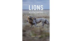 Lions in the Balance - Man-Eaters, Manes, and Men with Guns