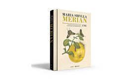 Maria Sibylla Merian - Metamorphosis Insectorum Surinamensium (1705)