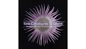 Sea Creatures in Glass - The Blaschka Marine Animals at Harvard
