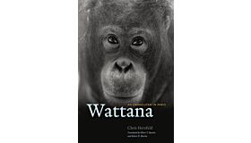 Wattana : An Orangutan in Paris