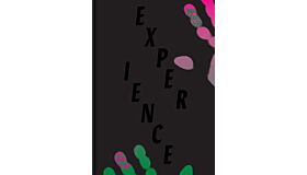Experience - Culture, Cognition, and the Common Sense