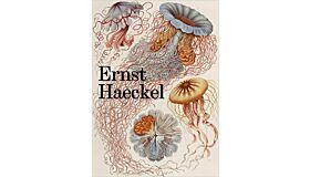 The Art and Science of Ernst Haeckel