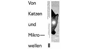 68253