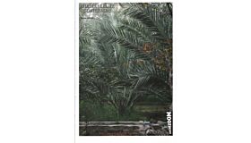 The Secret Life of Date Palms