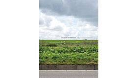 Bicycle Landscape - Why The Netherlands Look Like This