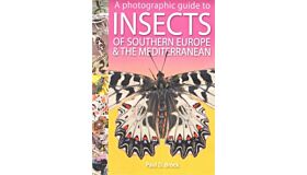 A Photographic Guide to Insects of Southern Europe and the Mediterranean