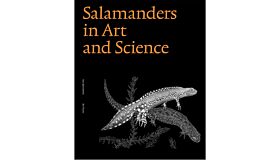 Salamanders in Art and Science