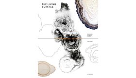The Living Surface - An Alternative Biology Book On Stains (currently unavailable)