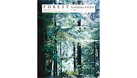 Yoshihiko Ueda: Forest Impressions And Memories, 1989-2017