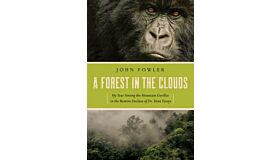 A Forest in the Clouds