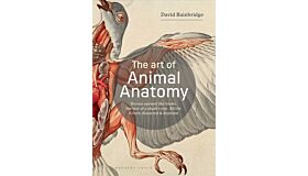 The Art of Animal Anatomy