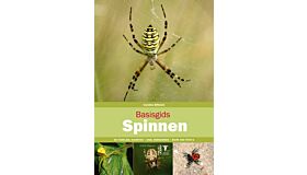 Basisgids Spinnen