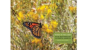 Wings in the Light - Wild Butterflies in North America