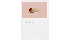 Robert Zhao Renhui : A Guide to the Flora and Fauna of the World