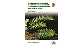 Britain's Ferns - A Field Guide to the Clubmosses, Quillworts, Horsetails and Ferns of Great Britain and Ireland