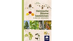 Heimische Bäume bestimmen in allen vier Jahreszeiten