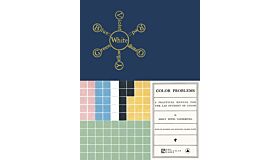 Color Problems - A Practical Manual for the Lay Student of Color