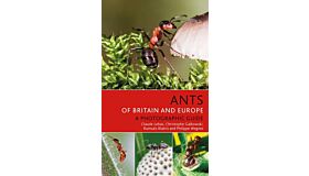 Ants of Britain and Europe - A Photographic Guide