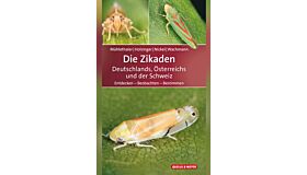 Die Zikaden Deutschlands, Österreichs und der Schweiz