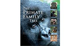 The Primate Family Tree