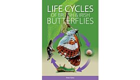 Life Cycles of British & Irish Butterflies