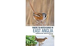 Where to Watch Birds in East Anglia