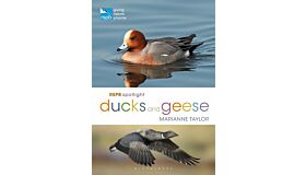 RSPB Spotlight - Ducks and Geese