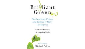 Briljant Green - The Surprising History and Science of Plant Intelligence