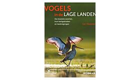 Vogels in de Lage Landen - De mooiste soorten, hun leefgebieden en bedreigingen