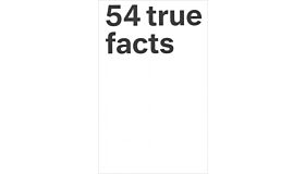 74334