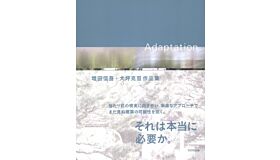 Shingo Masuda + Katsuhisa Otsubo - Adaptation