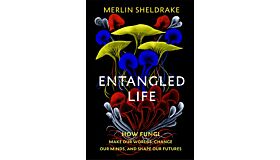 Entangled Life - How Fungi Make Our Worlds, Change Our Minds and Shape Our Futures (PAPERBACK)