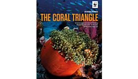 The Coral Triangle
