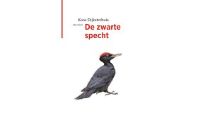 De zwarte specht