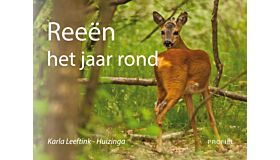Reeën het jaar rond