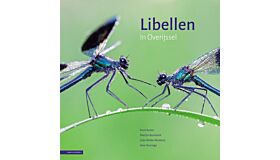 Libellen in Overijssel