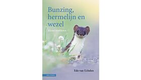 Bunzing, hermelijn en wezel - Kleine roofdieren